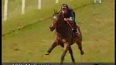 Craven Breeze-up Sale 2008 Lot 189