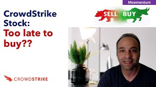 CrowdStrike Stock Analysis: Best Cybersecurity Stock?