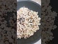 팝콘꽃이 피었습니다~