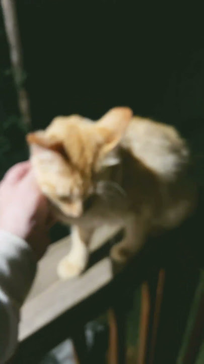 No biting love this boy