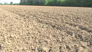 The Science of Healthy Soil