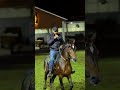 #INOVAMARCHADOR #CAVALO #MARCHADOR #HARAS #MANGALARGAMARCHADOR