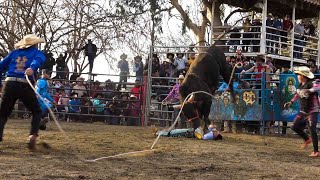 todo un despapaye , le sembro las dos patricias  en la panza en segundo lo dejo tiezo