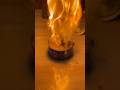 1000°C hot Ball vs Tuna #asmr #science
