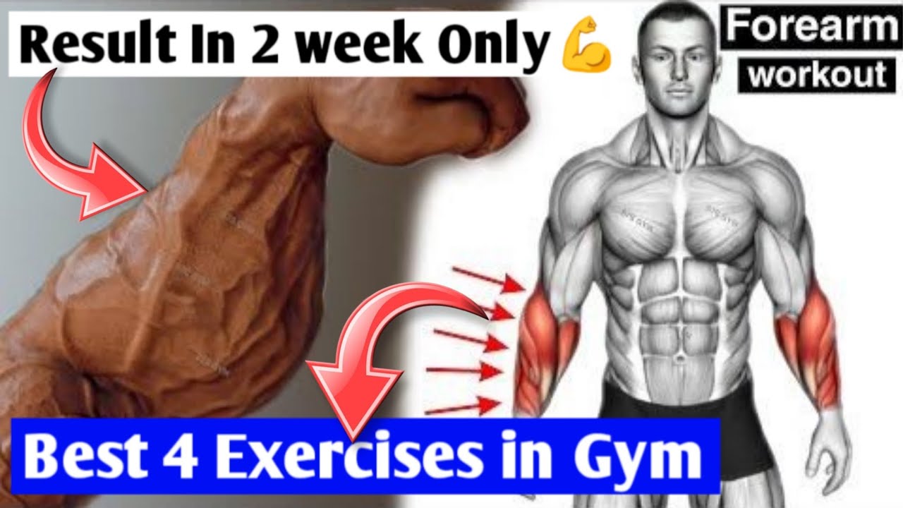 Full Forearm Workout Get Results in 2 Week Only Garanteed💯 YouTube
