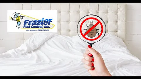 🛏️ Bed Bug Prevention and Treatment Tips: Expert Advice from Frazier Pest Control