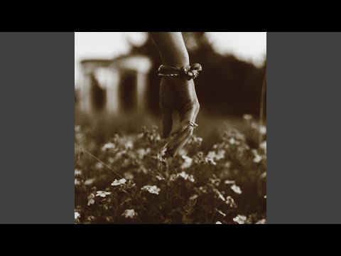 在 YouTube 上观看 별빛 아래 스치는 기억의 부드러운 파도