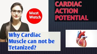 CARDIAC ACTION POTENTIAL