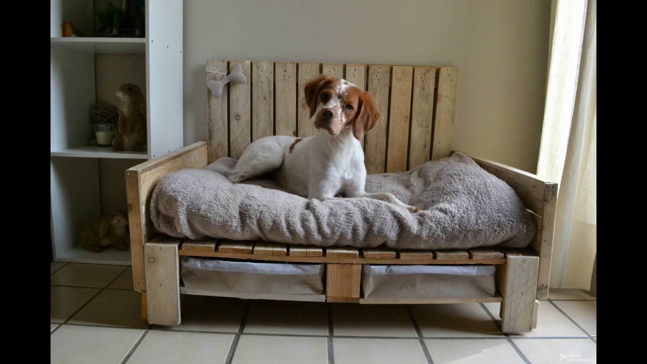 🎬 Construction de 2 lits pour chiens en bois de palettes - YouTube