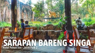 Keseruan di Jatim Park 2 Batu Malang ( Batu Secret Zoo)