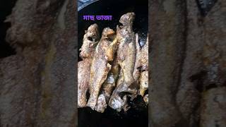 করকরা পোয়া মাছ ভাজা rumatuntu food reels soyummy shortvideo fry frying fish fishfry