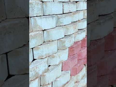 وقفت الحياة