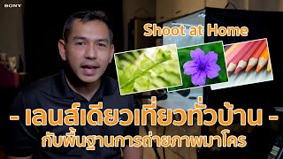 Tips สำหรับการ shoot-at-home ด้วย Macro Lens