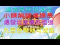 蟻族奇兵攻略 招喚流組成 獲得方式及用法 只需900台幣 小課玩家強力推薦使用此陣容