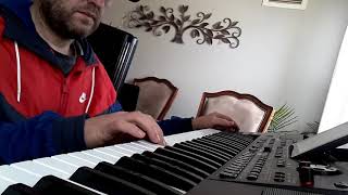 Fon Ilahi - Ballad,Piano,Pad,Nay - Korg pa1000 Resimi