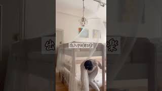 大人も余裕な2段ベッド