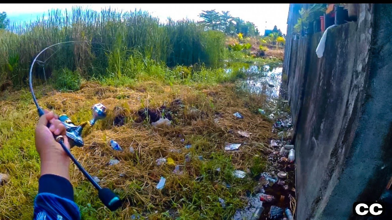 Urban Ultralight Fishing with 2 - 6lbs Rod | Urban Mancing Ultralight Ikan Gabus Monster 