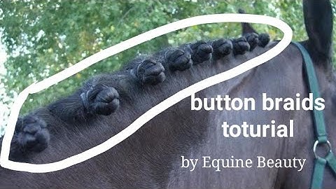 How to make button braids to your horse!Easy Way!