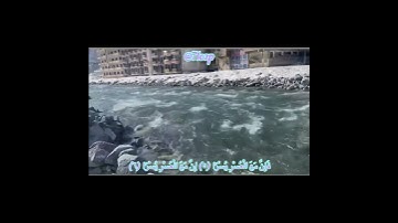 أَلَمْ نَشْرَحْ لَكَ صَدْرَكَ (١) وَوَضَعْنَا عَنْكَ وِزْرَكَ (٢) |القارئ :ابراهيم الاخضر