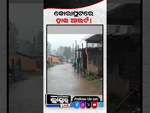 କୋରାପୁଟରେ ଲଗାଣ ବର୍ଷା #ytshorts #shortsvideo  #Koraput #OdishaRain #HeavyRain #FloodAlert