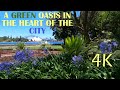 Sydney Royal Botanic Garden  Relaxing Tour - 4K