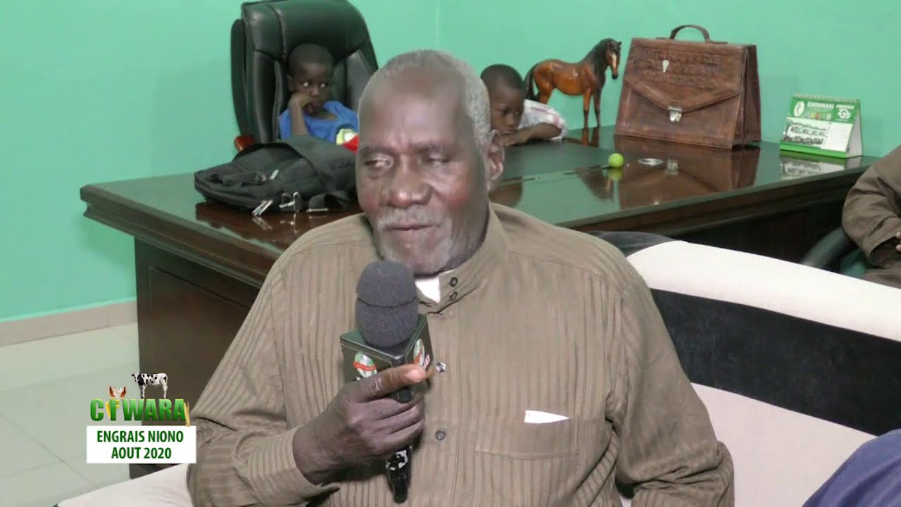 CIWARA ENGRAIS NIONO AOUT 2020 CHERIFLA TV