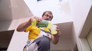 Jak bojovat proti plísni na stěnách v bytě?