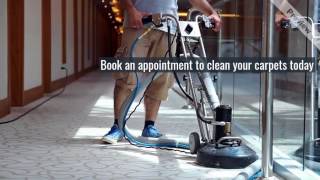 Lotus Carpet cleaning Melbourne | Best Carpet Cleaning