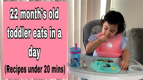 What my 22 months old toddler eats in a day | Toddler meal ideas