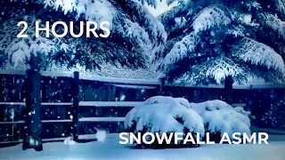 2 HOURS Snowfall ASMR ❄️ No Talking | Falling snow for Deep Sleep & Relaxation