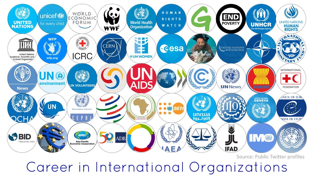 Career in International Organizations: An Introduction [SM Guidance EP-1]