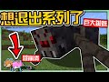 【Minecraft】禾卯－卯力歐生存#02－碰到花會受傷？被動物踩到會流血？這個【原味生存】也太艱難了...Ft.冠冠【我的世界】