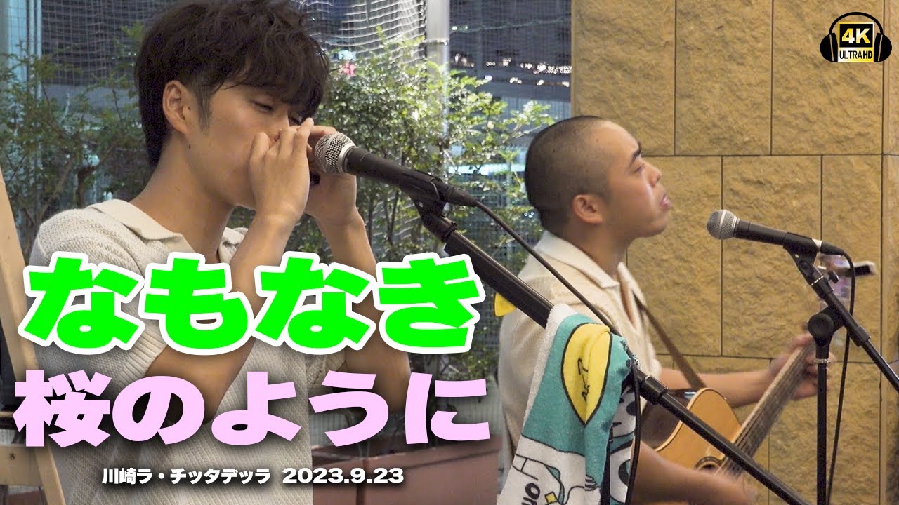 桜のように(オリジナル)/なもなき｜川崎ラ・チッタデッラ ライブ2023/09/23🎧推奨【STEREO】