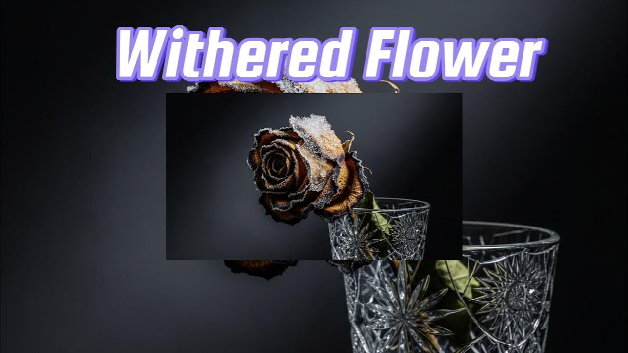 Withered Flower_[Music  VCD]