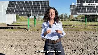 Nutrient Use Efficiency: Why it matters | Expert Voices - Challenges