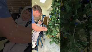 Decorating the Christmas Tree