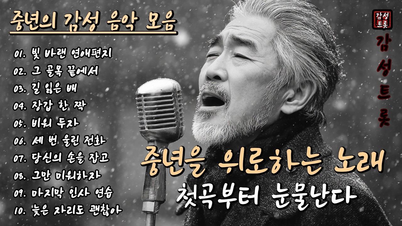 첫곡부터 눈물난다❄️ | 중년의 마음을 위로하는 감성 트로트 10곡 모음 (12편) #감성트롯 #중년음악 #7080음악