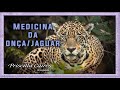 O Poder da Onça Pintada - Medicina e meditação do Jaguar/Onça-pintada