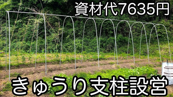 キュウリネットの張り方 アーチ型 Youtube キュウリネットの張り方 アーチ型 Youtube