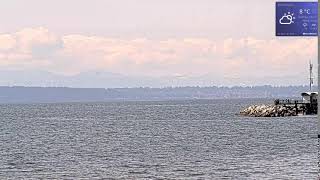 East Beach Camera