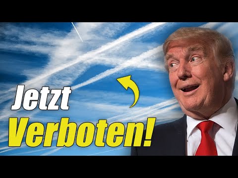 Völlig IRRES Neues