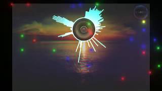 DJ GROSSU _ Missing you ( Acordeon & Clarinet ) Official Video Music