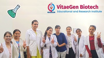 Project Work | Laboratory Work at Vitaegen Biotech | M.Sc. Dissertation | Internship B. Tech Biotech