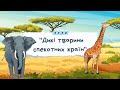 ГРА «Кого не стало» ДИКІ ТВАРИНИ СПЕКОТНИХ КРАЇН/ ТВАРИНИ АФРИКИ ДЛЯ ДІТЕЙ. Логопедичне заняття