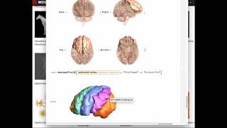 Twitch Talks - Biological & Medical Entities