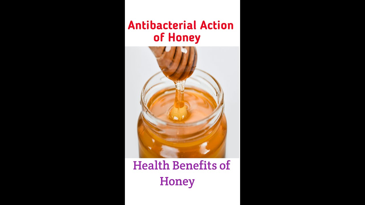 Benefits of Honey | Antibacterial action of Honey  #shorts