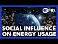 Social Proof and Environmental Influence