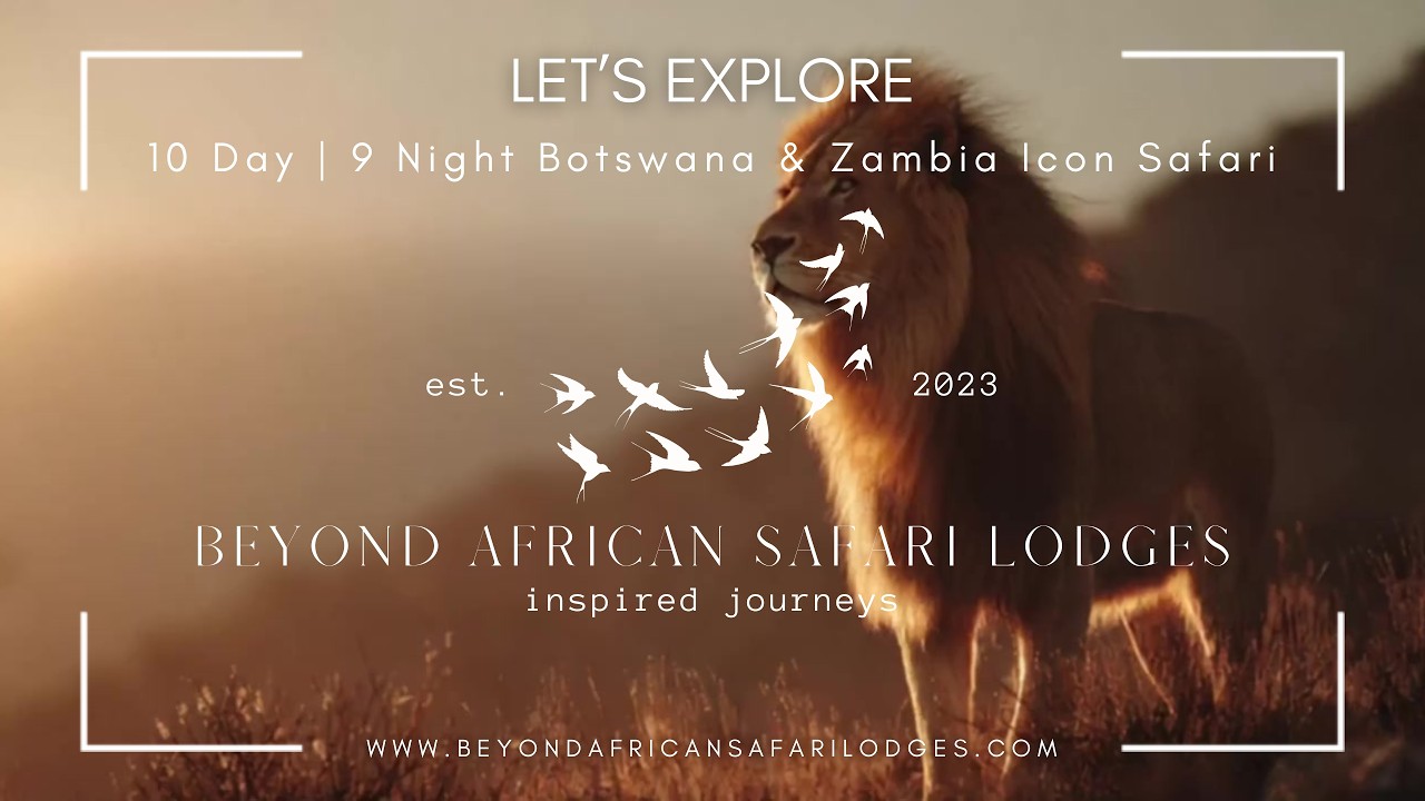 Still from 10-Day Botswana & Zambia Safari | Okavango, Victoria Falls & Luxury Lodges