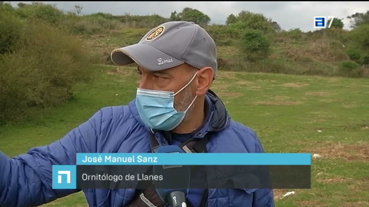 Colocan nidos artificiales para las aves silvestres
