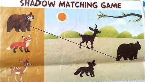 shadow matching game for kids